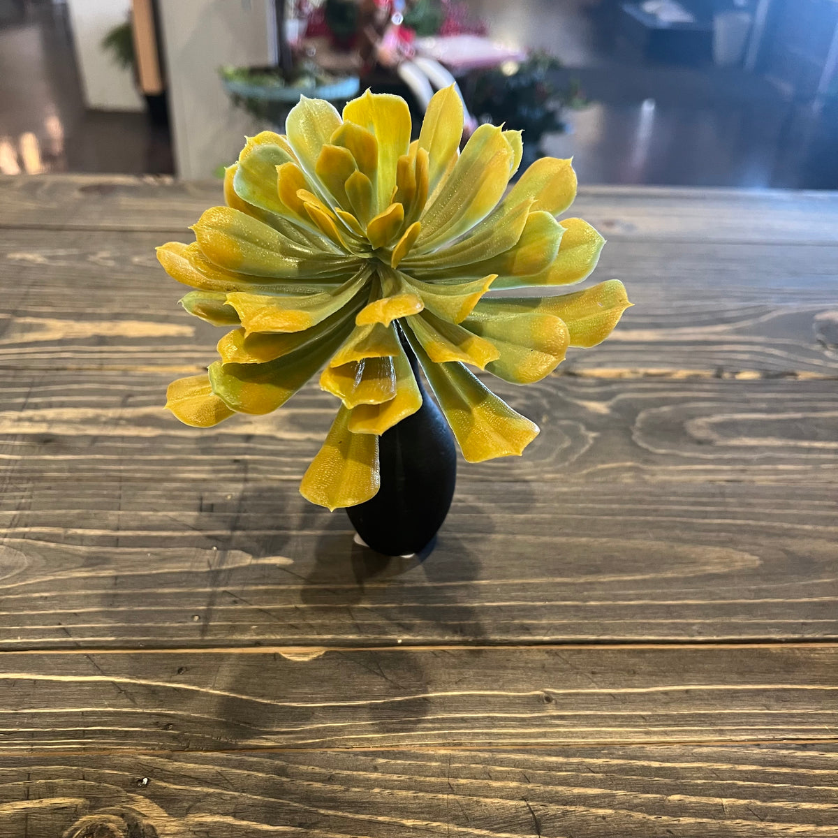 Faux Aeonium Succulent