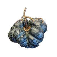 Heirloom Pumpkin in Black