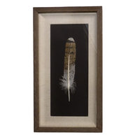 Framed Feather