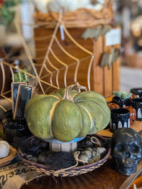 Heirloom Pumpkin in Green