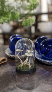 Handmade Large Ecoclay Mushroom Terrariums