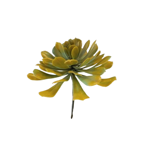 Faux Aeonium Succulent