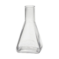 Geometric Glass Chicory Budvase