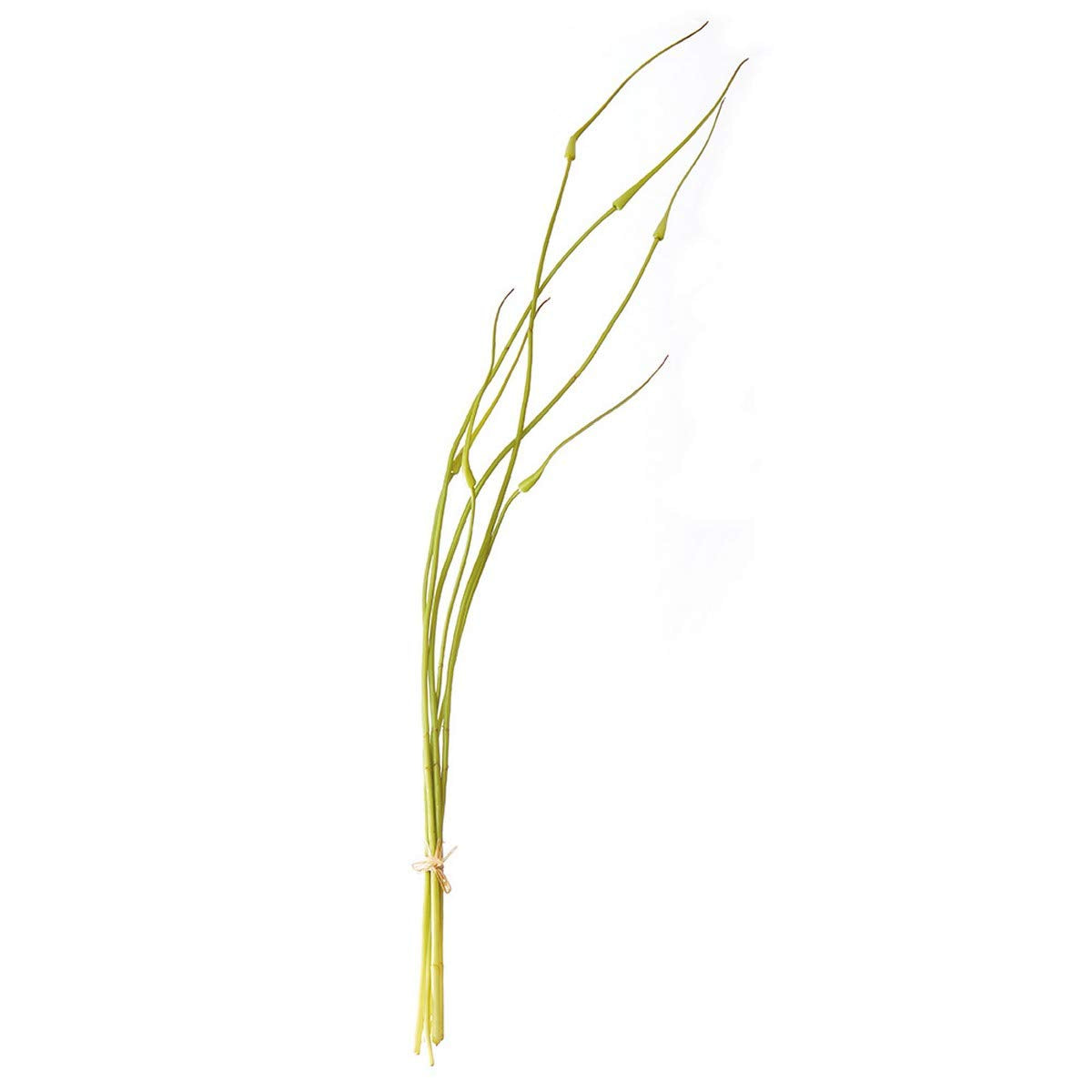 Branch Spray - Allium Bud