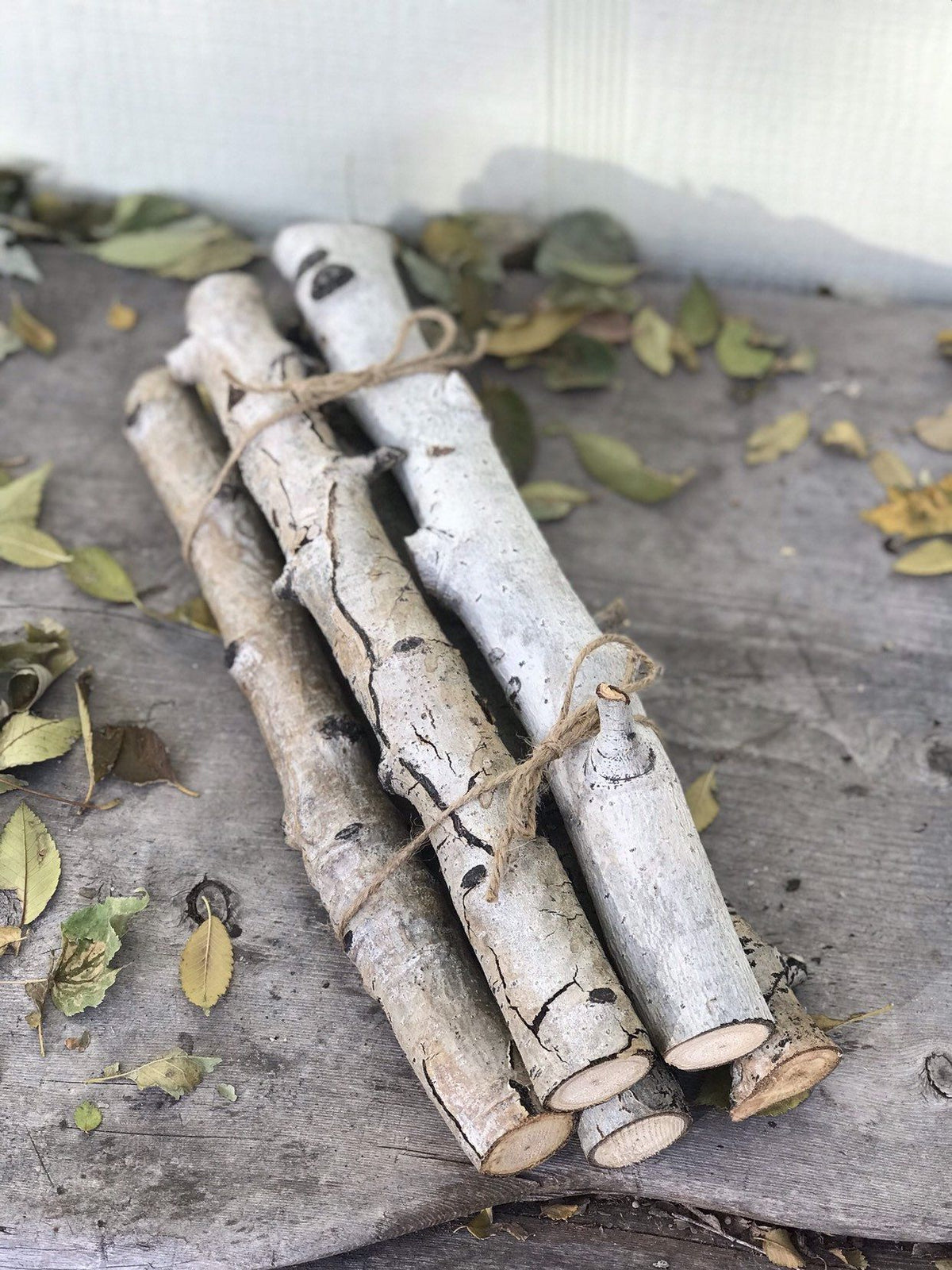 Small Birch Stick