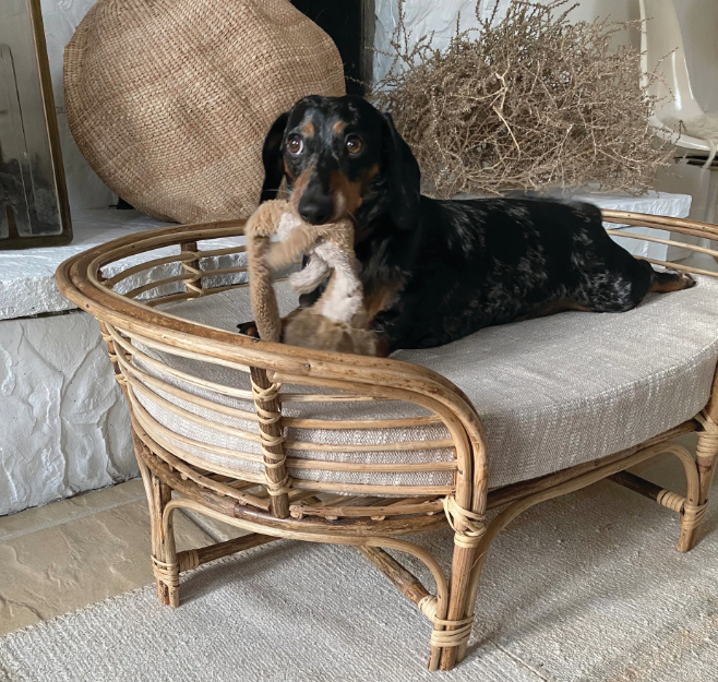 Rattan Dog Bed w/ Cotton Cushion