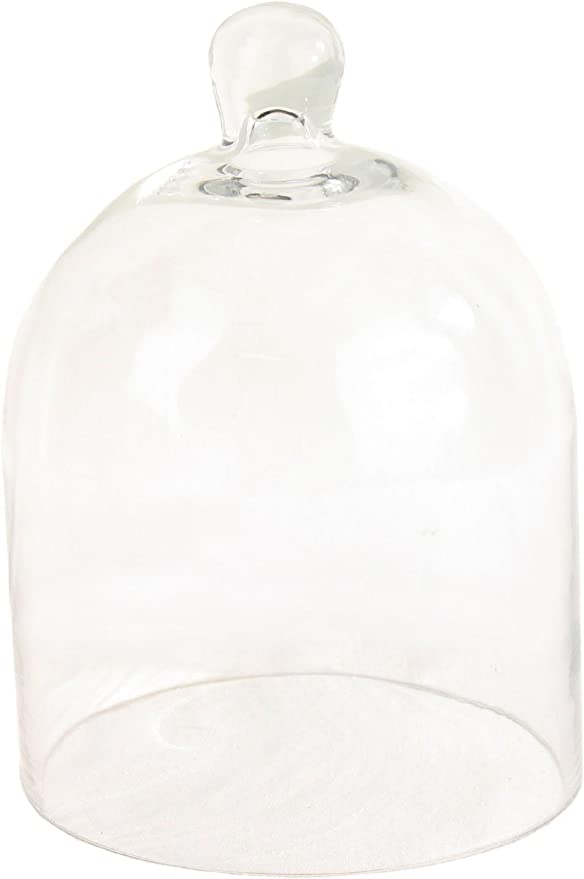 Mini Glass Dome Cloche