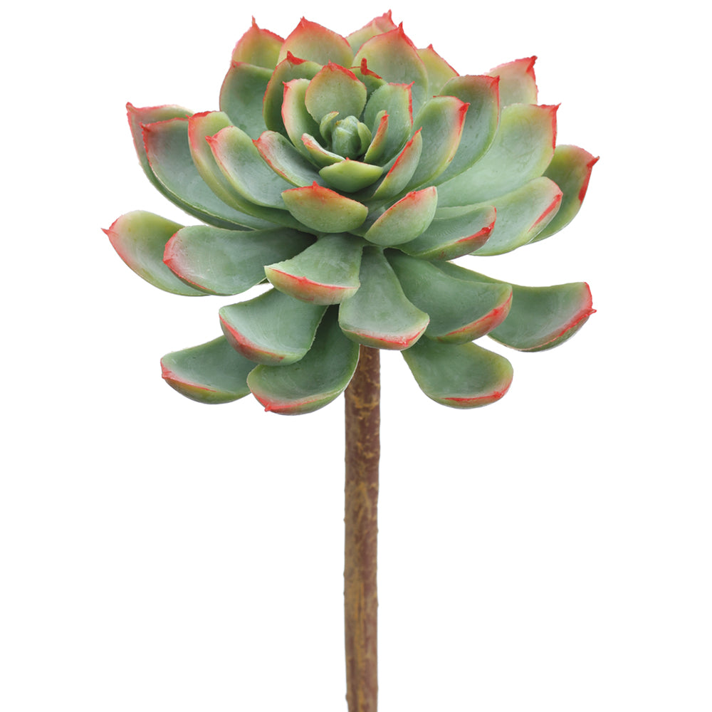 Real Touch Faux Echeveria Succulent Pick